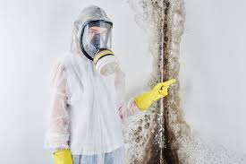 Mold Removal for HVAC Installations in Port Salerno, FL